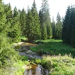 Almberg Mitterfirmiansreut