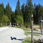 Almberg Mitterfirmiansreut