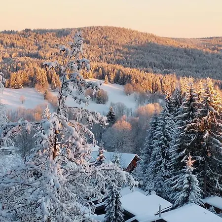 Almberg Apartmán Mitterfirmiansreut