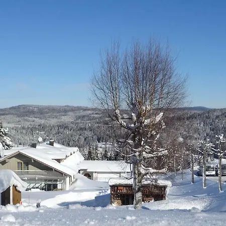 Apartament Almberg *