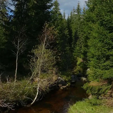 Almberg 公寓 米特菲厄姆恩斯罗伊特