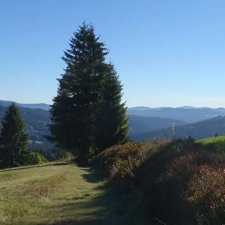 Almberg * 米特菲厄姆恩斯罗伊特