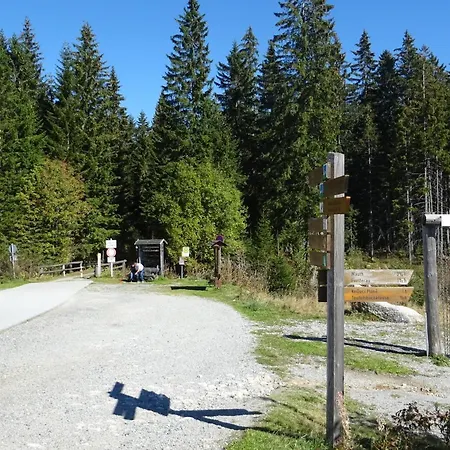 Almberg Mitterfirmiansreut