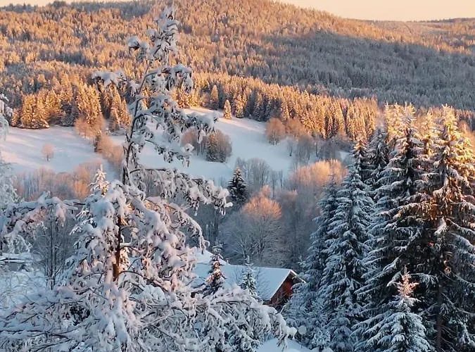 Almberg Apartamento Mitterfirmiansreut